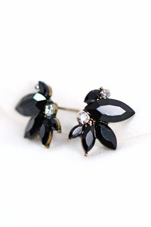 Black Mixed Crystal Stud Earrings